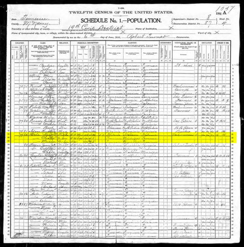 Ann Cole 1900 Census Record