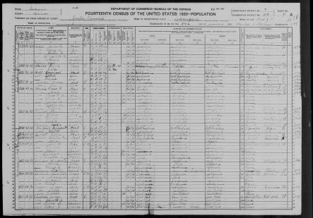 1920 Census: Minnie Fleniogh