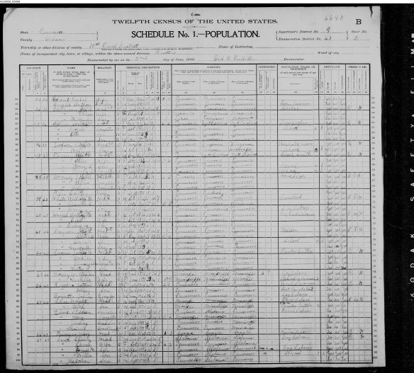 1900 Census for Laura Jackson and son Willy