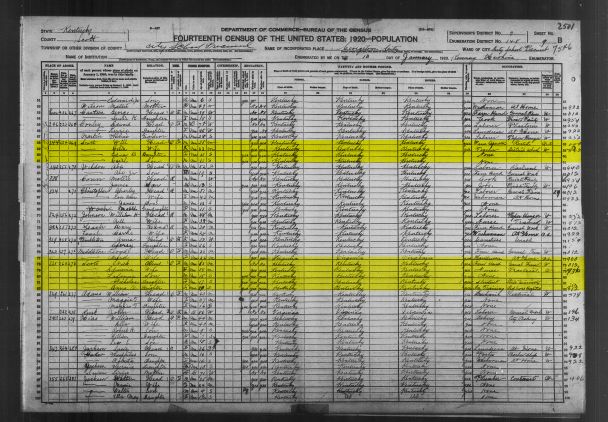 Households of Nick and William Scott in the 1920 census