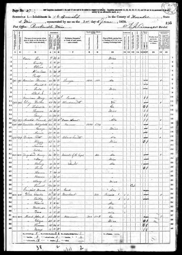 Robert Brown - Year: 1870; Census Place: Township 16, Noxubee, Mississippi; Roll: M593_743; Page: 195A; Family History Library Film: 552242