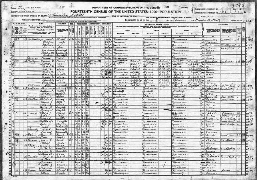 William Johnson Moore Family, 1920 Census, Wilson County, TN