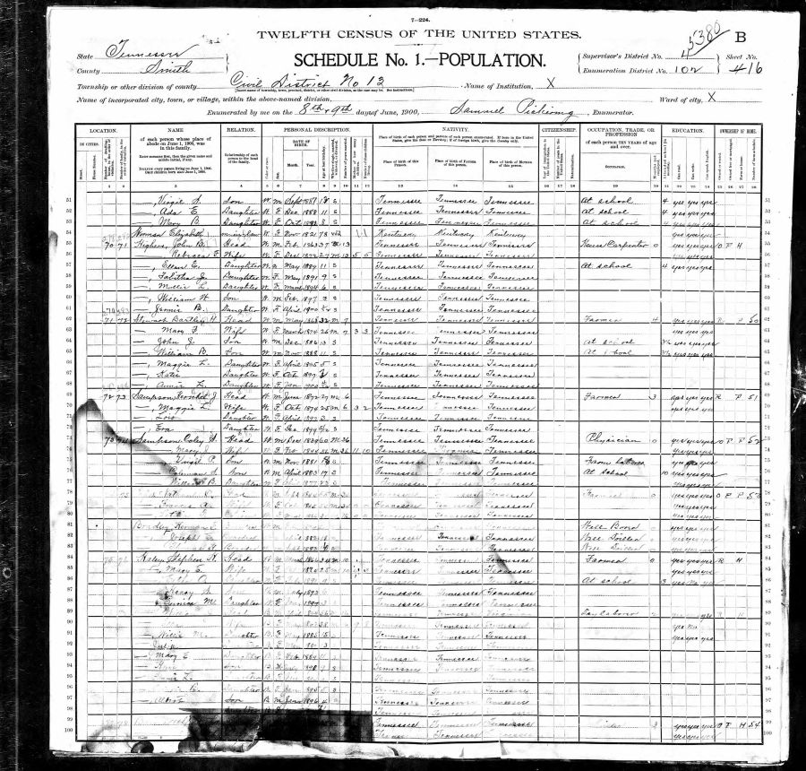 William Johnson Moore Household 1900 Census